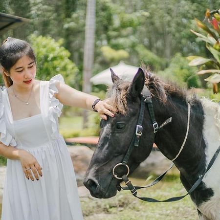 ไร่นาบัวหลวง คาเฟ่ & ฟาร์มสเตย์ Raina Bualuang Cafe & Farm Stay Ban Na No Екстериор снимка